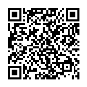 萝卜那特有的微辣中又带点甘甜的汁水立刻溢满口腔二维码生成