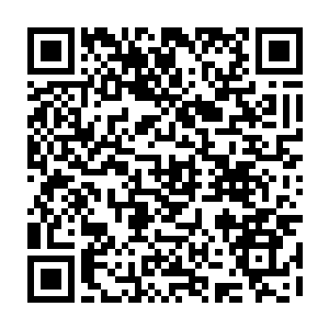 萝纱只能眼睁睁的看着那伽创始者将她用了七成功力打出去的这一招给吸收掉二维码生成