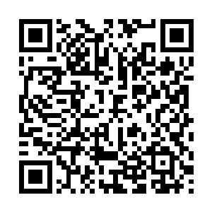 营养液的费用每月也要高达数千之多的全息网游而言二维码生成