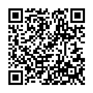 营地旁边的临时栏杆对于它们完全没有什么影响二维码生成