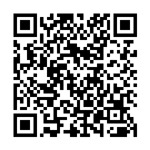 萧元猛然爆出数十道万斤的力量狠狠的砸在杨晨的身上二维码生成