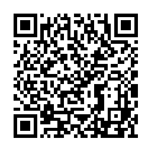 萧圣哲死死的盯着全息投影上面显示出来的信息二维码生成