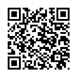 萧强让杨小花和杨大树先商量了一下二维码生成