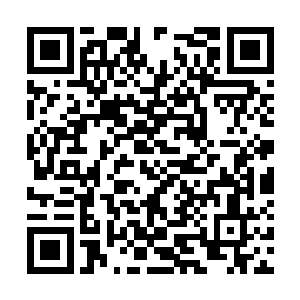 萧摇手心里的东西就是他们刚刚找出去的6颗子弹二维码生成