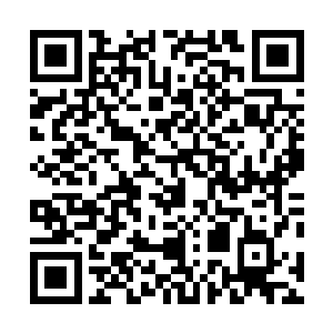 萧摇把brook的双手双脚及9个手指头一个已经被萧摇截断了二维码生成