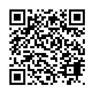 萧摇都会在某个角落里远远的看着他二维码生成