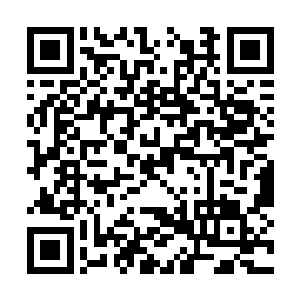 萧易便捕捉到了老头子的话语中的一个重要的漏洞二维码生成