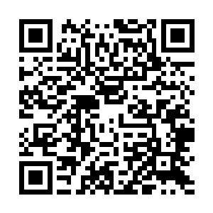 萧易差一点没有被赵雨华的话语给呛得一口气顺不过来二维码生成