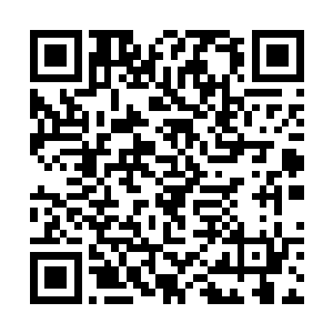 萧易眼神带着一丝谨慎的望着前面那个据说叫何少辉二维码生成