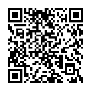 萧易终究还是不忍心看着让这个女子在这里死去二维码生成