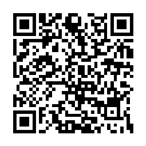 萧晨慢慢的运转起降龙斩第二式飞龙战天的心法二维码生成