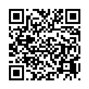 萧晨有心试验一番天海斗篷的功能二维码生成