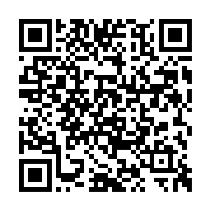 萧晨的视线顺利的穿过了这一片复杂庞大的洞窟二维码生成