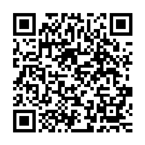 萧沐晨几个人见到空中两兽肉搏的样子之后也是忍不住开口道二维码生成
