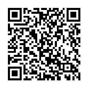 萧眉和欧阳志远看着萧远山和魏海娟走近他们的房间二维码生成