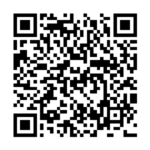 萧老几人最后的目光就是落在最中间的那个展柜上二维码生成