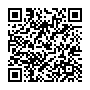 萧言与方腾在元随簇拥下离开了高俅府邸好一段距离二维码生成