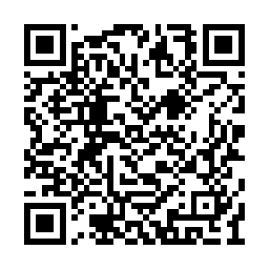 萧言冷着脸看了自己身边这个摇鹅毛扇子的家伙二维码生成