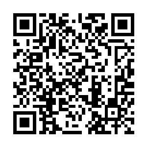 萧轩几人的战斗力和背景就足以在清北大学校园内横着走了二维码生成