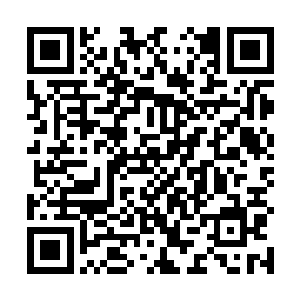 萧逸尘副院长和李逸风副院长之间为了争夺院长的归属二维码生成