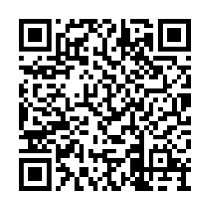 萧逸自然也感受到了那股恐怖的充满怒气的神识二维码生成