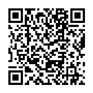 萧雷与叶尘可是杜长老亲自点名要将他们收入天帝学院的二维码生成