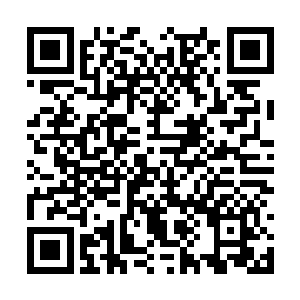 萧霓裳看到果然刚才万人坑所在的地面也升了上来二维码生成