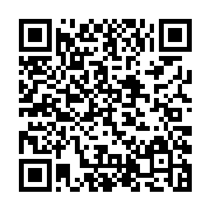 萧青居然被一个中阶武宗的东陵宗弟子给完美制服了二维码生成