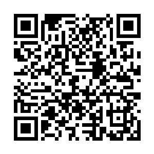 萧韵儿不可思议的看着前面这一大一这才片刻功夫二维码生成