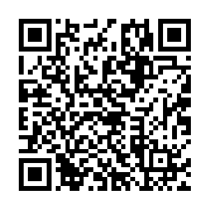 萧韵儿就感觉到有一个冰凉软乎的触体缠上了她的脚踝二维码生成