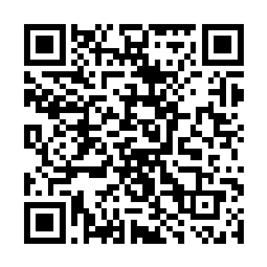 萧韵儿连忙举起宝剑再次将那双翼老虎给劈成了两半二维码生成