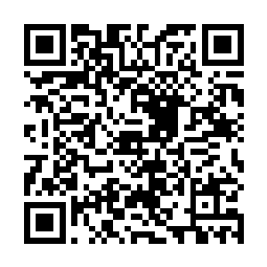 萧风实在是不想和这胖子在大街上上演你追我赶的游戏二维码生成