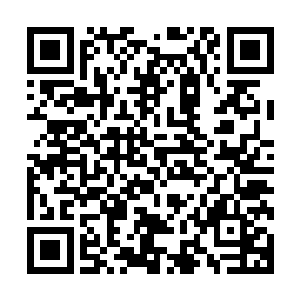 萧风就发现了不下二十个国安局的特工徘徊在机场各个角落中二维码生成