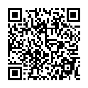 萧风把鳄鱼脑袋以及鳄鱼皮等全都塞进了一个大的背包里二维码生成