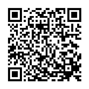 萨义夫也会认为那是沙阿情报局的内鬼在掩饰自己的真实身份二维码生成