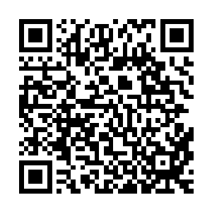 萨尔维现在已经回新西兰去剪辑电影了――她反正已经醒来过了二维码生成