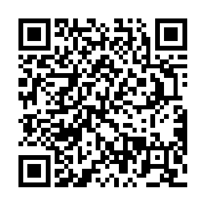 萨波用他们在常态下所拥有的战斗力去衡量他们的极限二维码生成