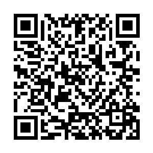 萱若俏脸绯红地急忙结果戒指就要朝自己的手上套去二维码生成