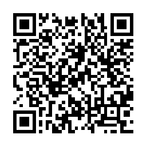 萱若原本紧闭不动的睫翼竟是开始轻微地颤抖起来二维码生成