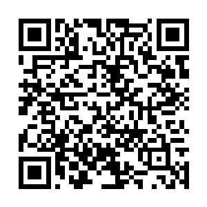 萱若见得北辰睿叼着一片绿叶的模样似乎极为惬意二维码生成