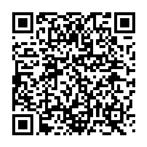 萱萱看着那一整根大胡萝卜瞬间感觉让慕容晓晓做菜就是一种错误二维码生成