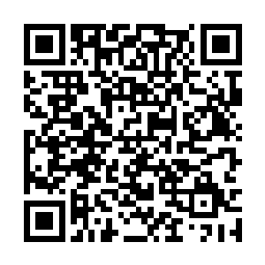 落伽和非想都完全忽略掉了还有这么一位天仙帮手二维码生成