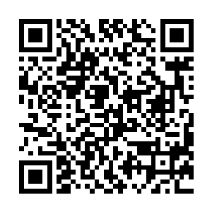 落单的时候正好碰到了数量和实力都超过自身的尸灵族人二维码生成