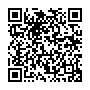 落叶城的奴隶主们已经懂得如何引诱出一只流沙兽二维码生成
