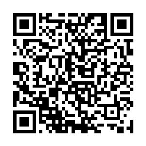 落叶季节的时候也不会答应两个部落一起去采摘粉果二维码生成