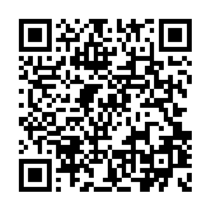 落在一直跟在他的身边的那个机场的领导的身上二维码生成