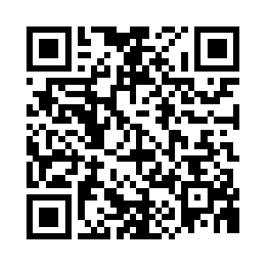 落在了多宝架上作装饰的青花白地瓷梅瓶上二维码生成