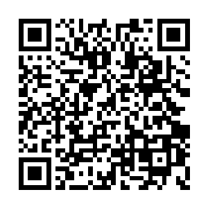 落在了正在跟五六名罗汉力士缠斗的鬼无藏身上二维码生成