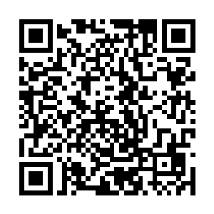 落在了许逊的身边手中多出了一只纯白色的兔子说二维码生成