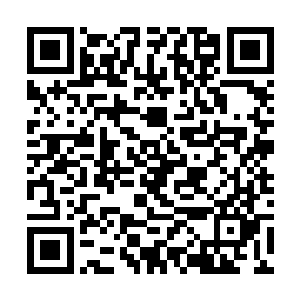 落在地上的声音在这一片安静当中让所有人都是一震二维码生成